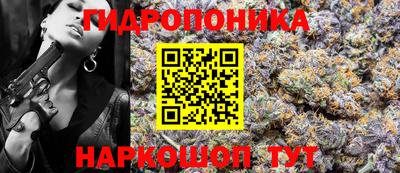 мдпв Магадан