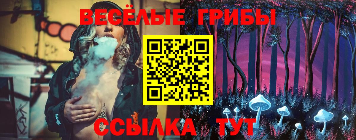 Новосибирск  Псилоцибиновые грибы Cubensis  Галлюциногенные грибы Psilocybe  Вход с VPN 